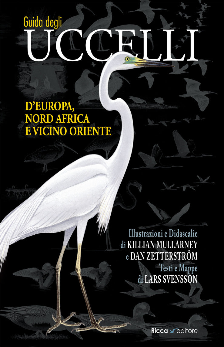 Ricca Birdwatching Guida uccelli Europa grande formato 22x31 cm