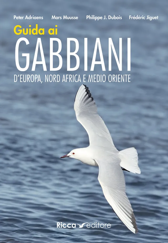 Ricca Editore Guida gabbiani Europa libro fotografico 1400 foto