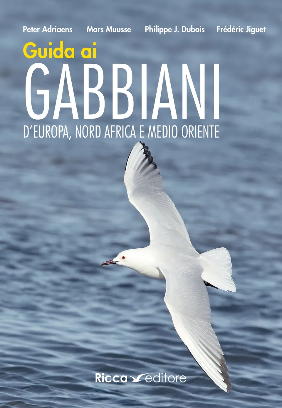 Ricca Editore Guida gabbiani Europa libro fotografico 1400 foto
