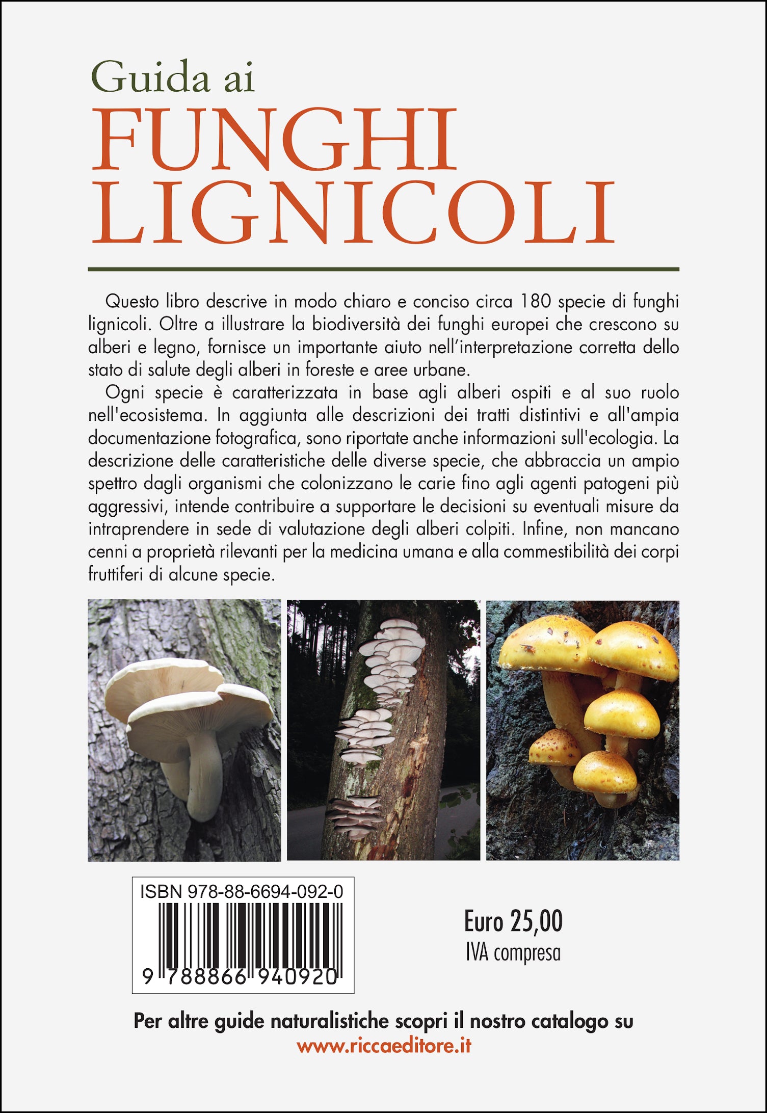 Ricca Editore Funghi Guida ai funghi lignicoli libro 180 specie