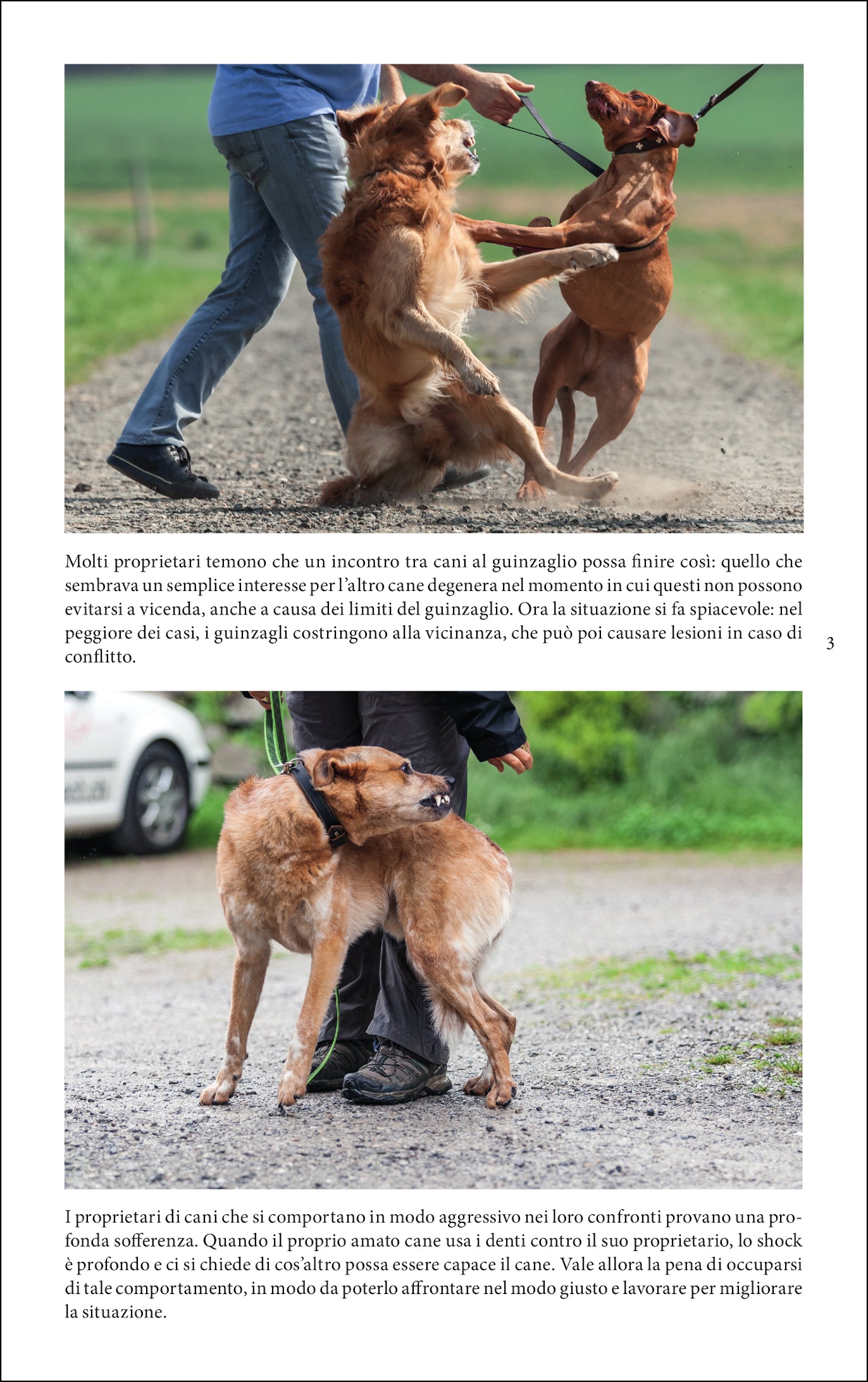 Ricca Editore Cani e Cinofilia Il comportamento aggressivo nei cani libro