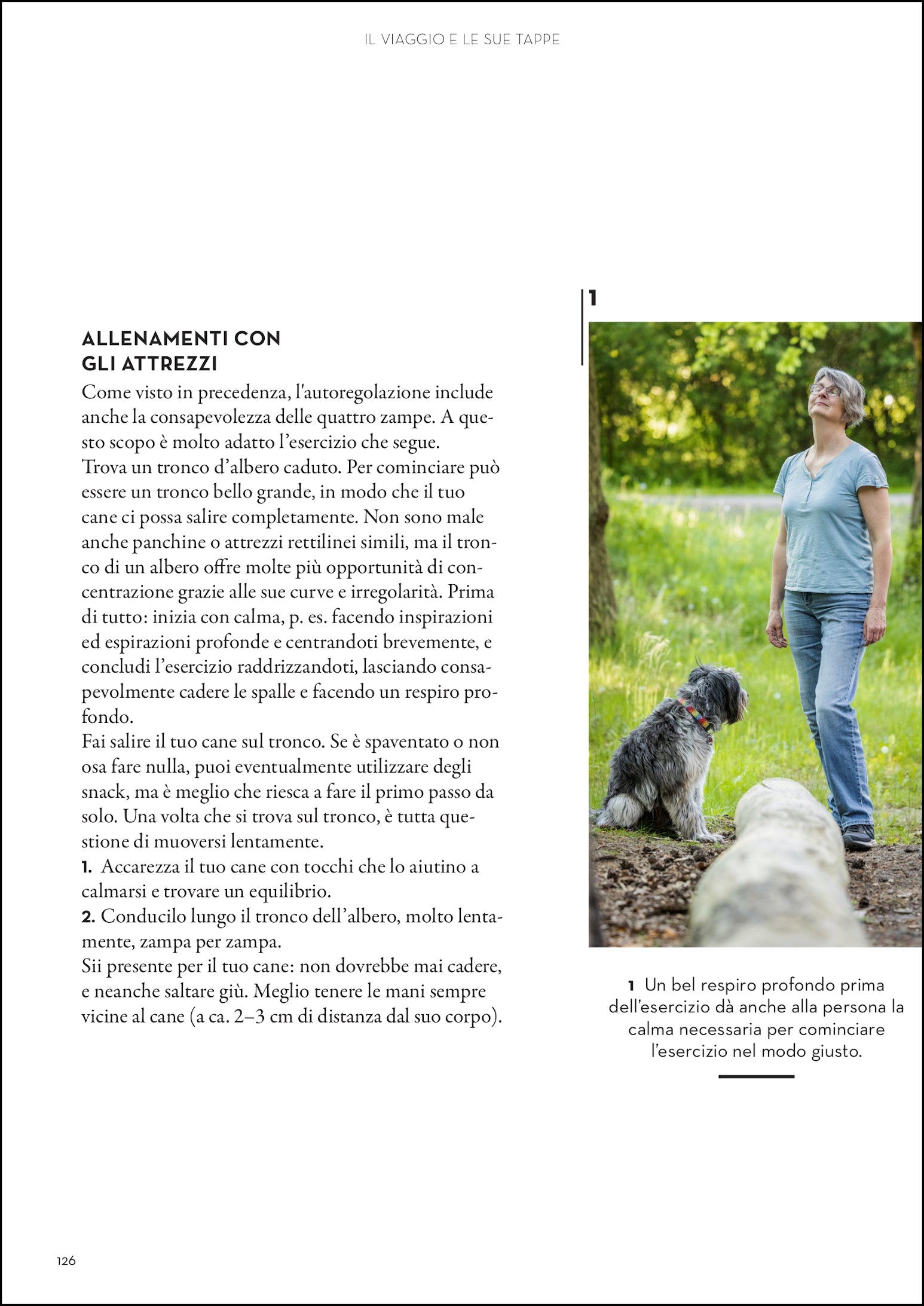 Ricca Editore La resilienza nei cani libro gestione stress conflitti