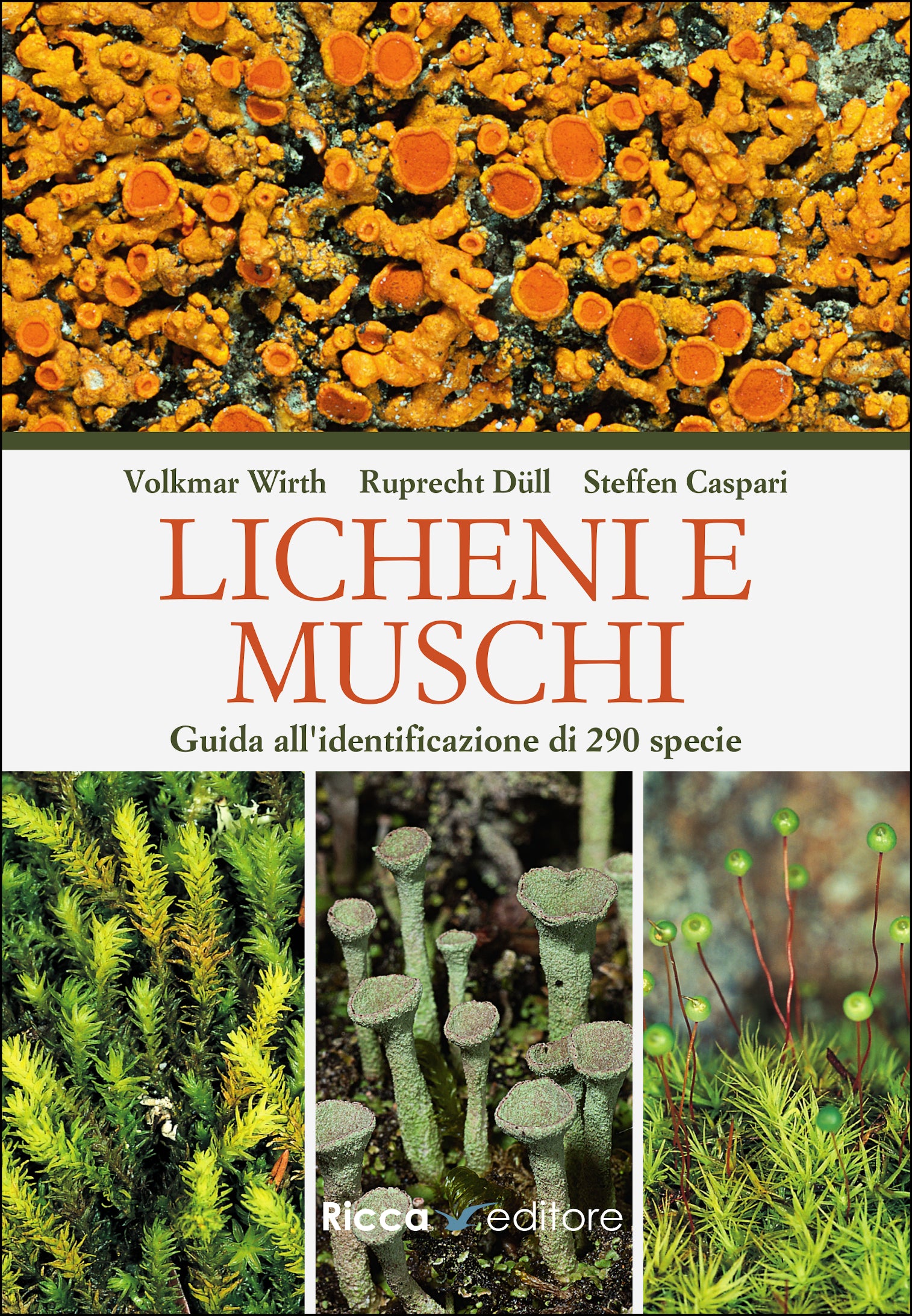 Ricca Editore Botanica Licheni e muschi guida 290 specie foto