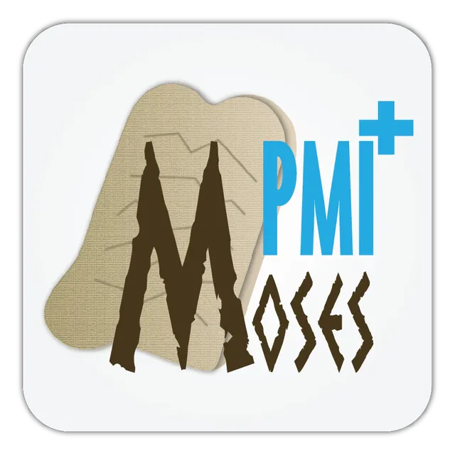 Sindar MOSES PMI PLUS software DVR procedure standardizzate