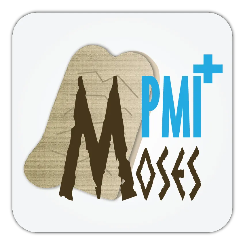Sindar MOSES PMI PLUS software DVR procedure standardizzate