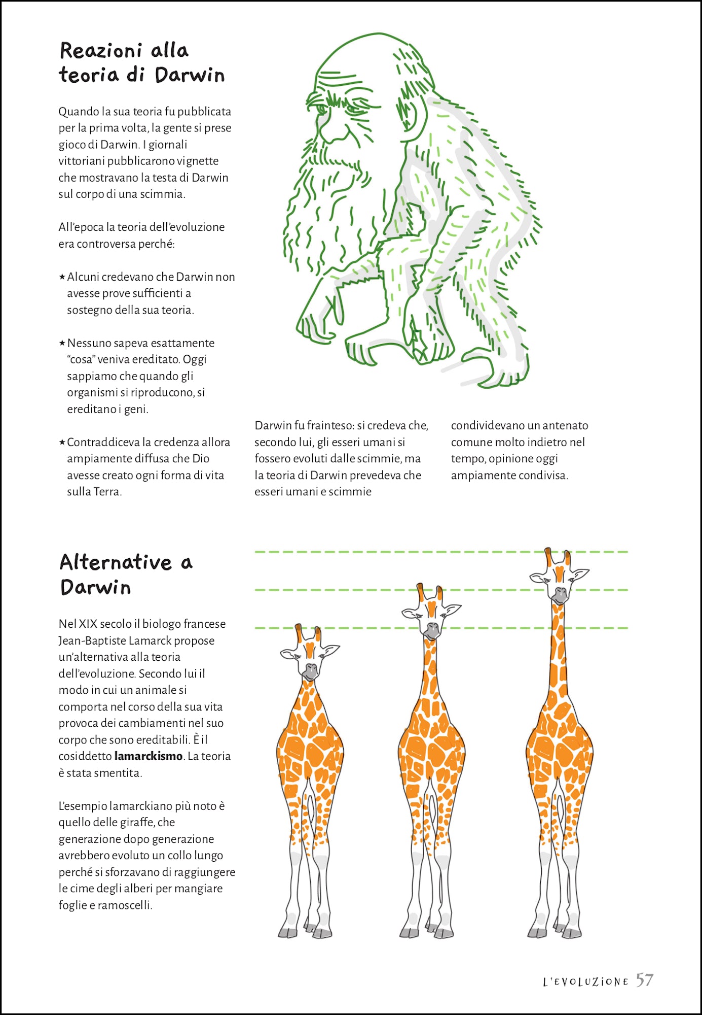 Ricca Scienze Naturali Le basi della biologia libro guida illustrata