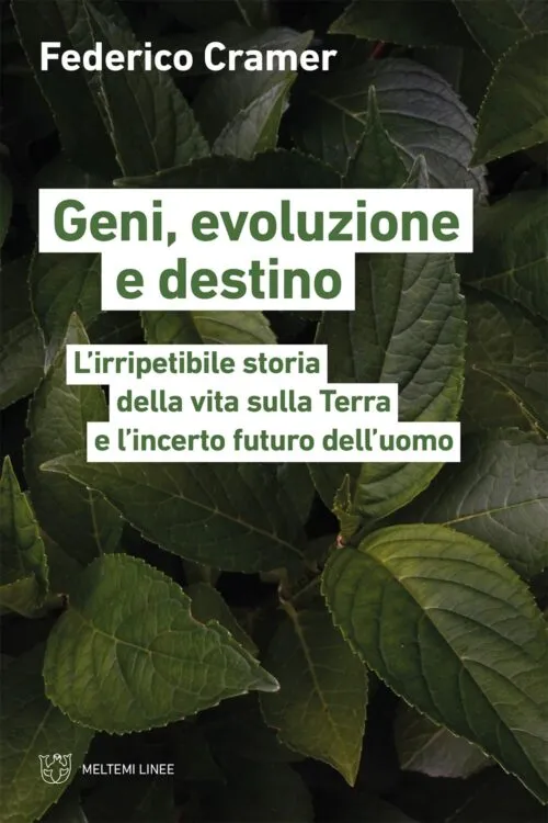 Meltemi Linee Geni, evoluzione e destino libro