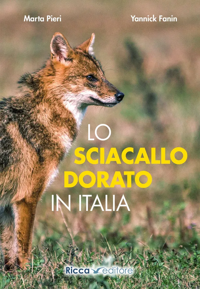 Ricca Editore Mammiferi Lo sciacallo dorato in Italia libro ecologia