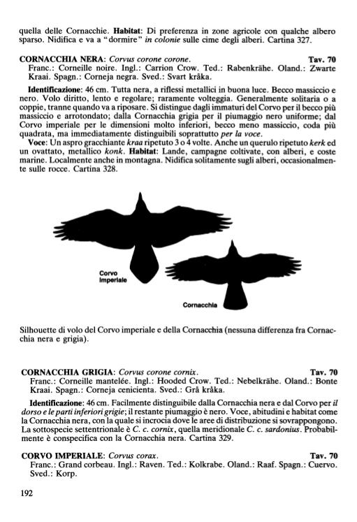 Ricca Birdwatching Guida uccelli Europa guida campo riconoscimento