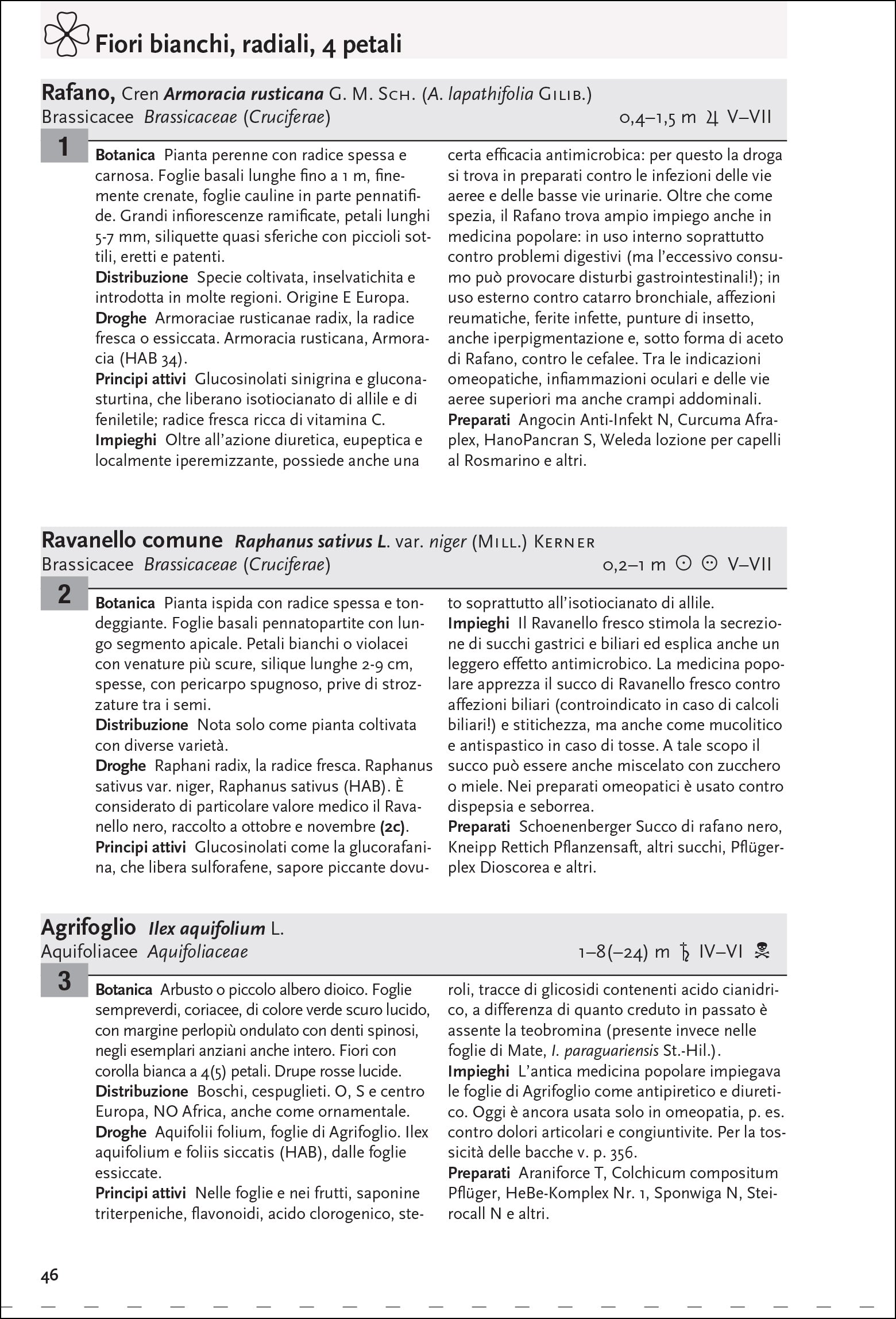 Ricca Editore Guida piante medicinali libro 600 specie foto