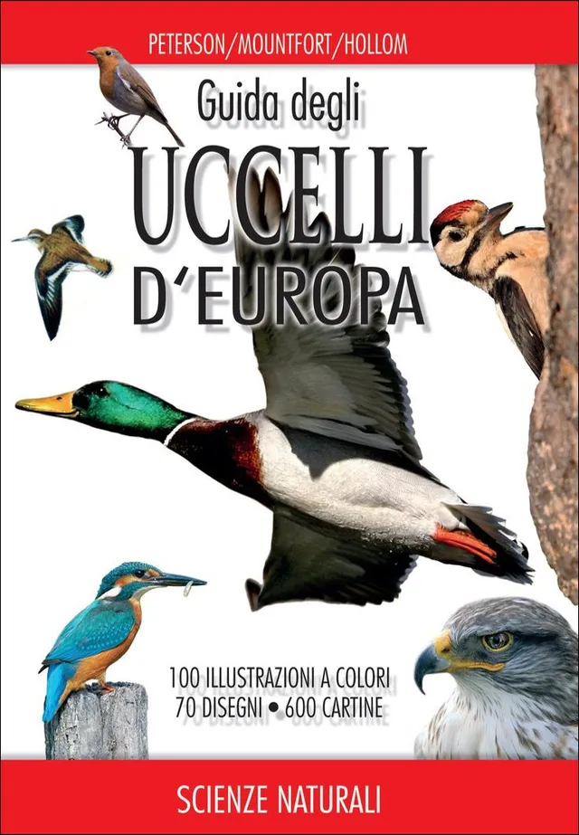 Ricca Birdwatching Guida uccelli Europa guida campo riconoscimento