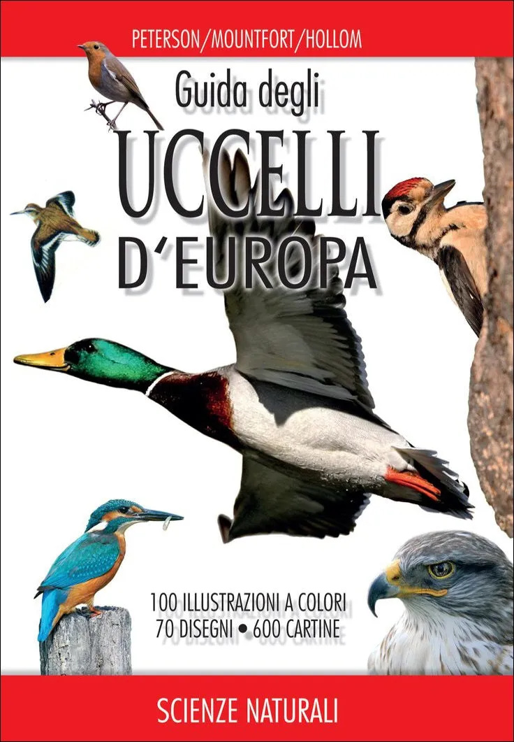 Ricca Birdwatching Guida uccelli Europa guida campo riconoscimento