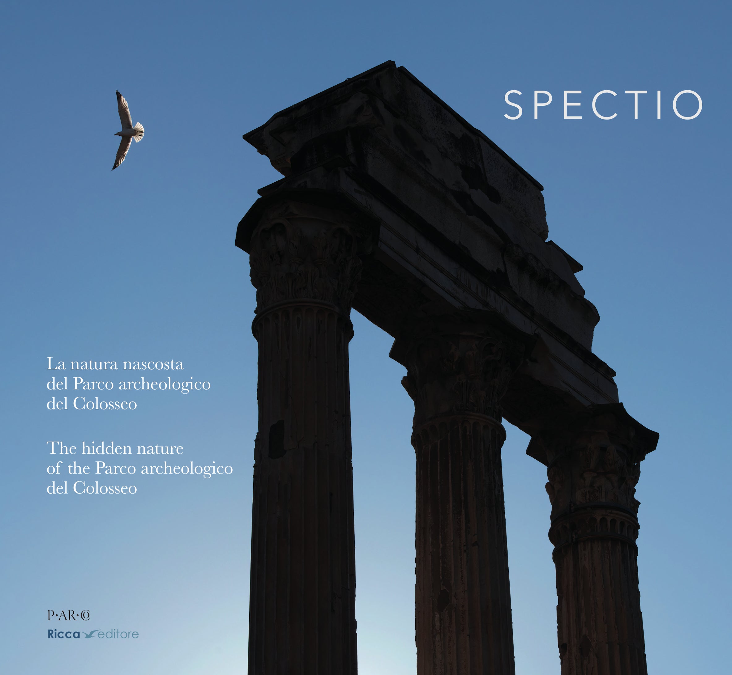 Ricca Storia e Natura SPECTIO libro fotografico Colosseo