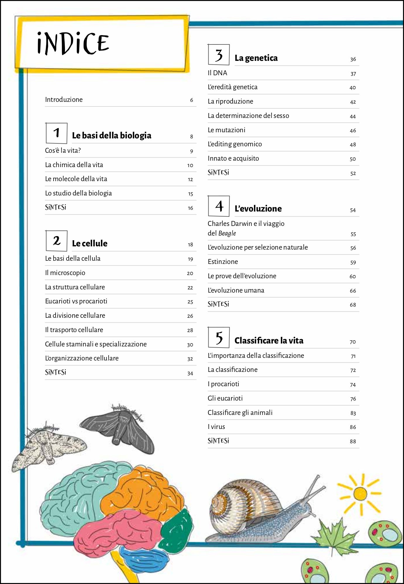 Ricca Scienze Naturali Le basi della biologia libro guida illustrata