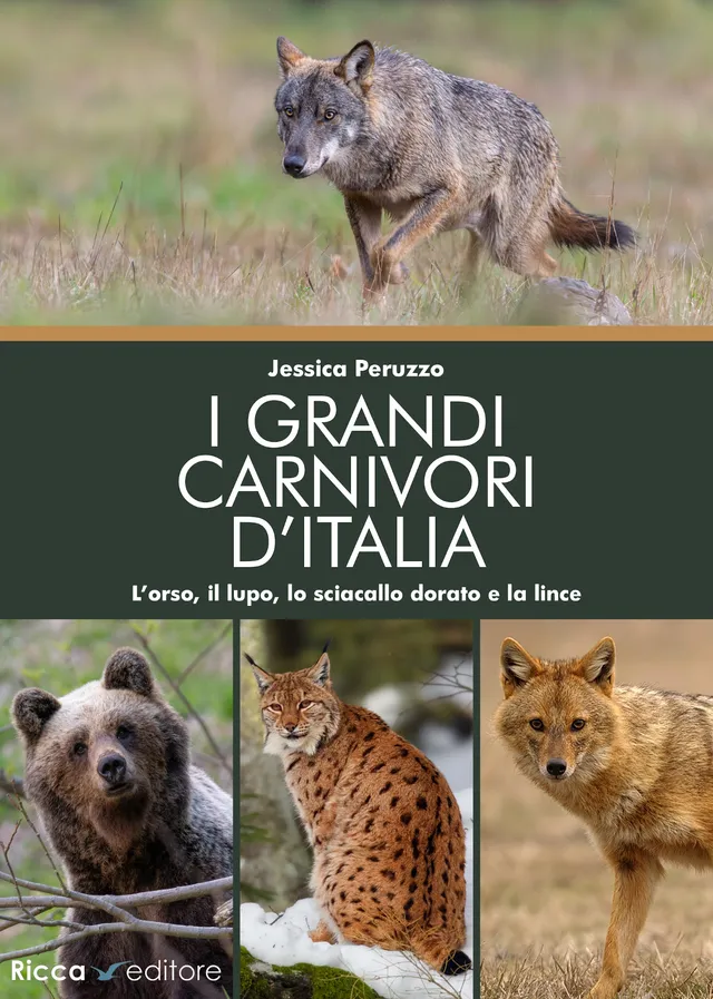 Ricca Editore I grandi carnivori d'Italia libro orso lupo lince