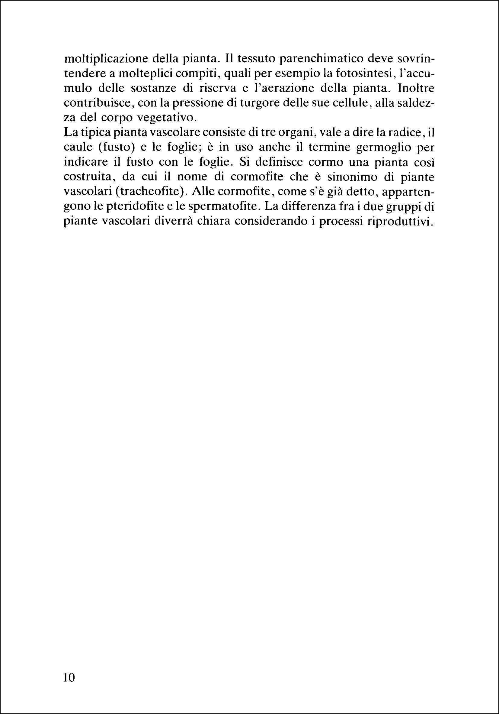 Ricca Editore Botanica Atlante anatomia vegetale libro