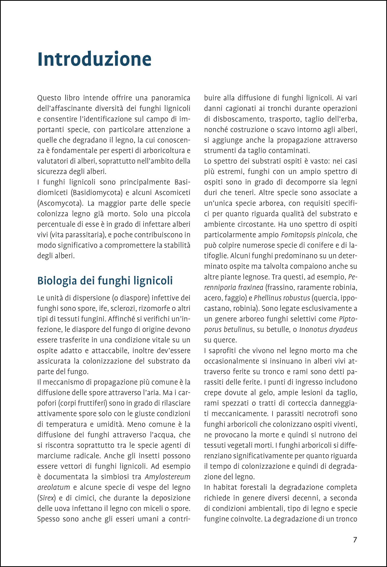Ricca Editore Funghi Guida ai funghi lignicoli libro 180 specie