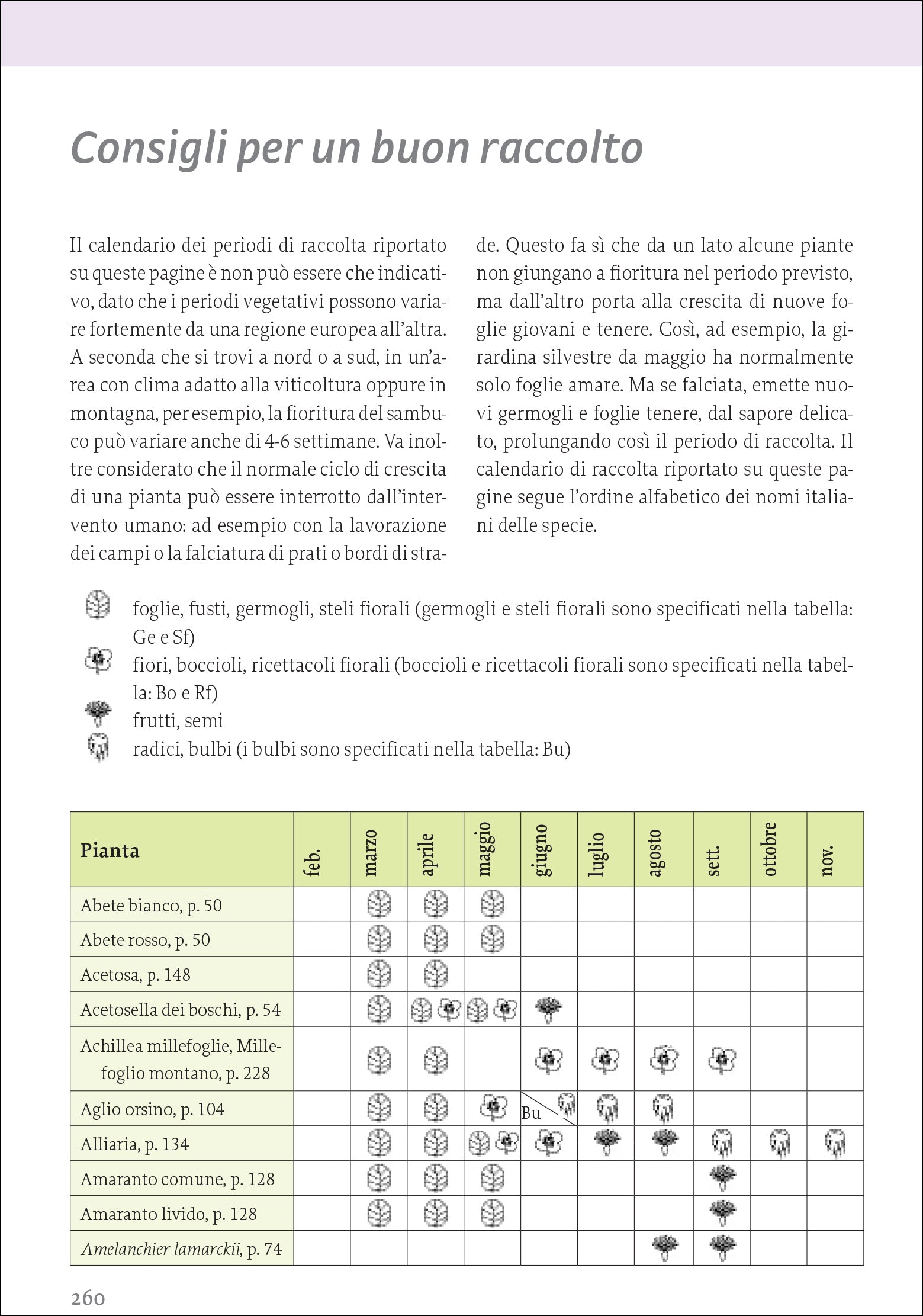 Ricca Editore Piante selvatiche commestibili guida ricette