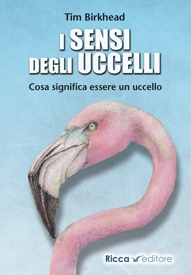 Ricca Editore Etologia I sensi degli uccelli libro saggio vista udito