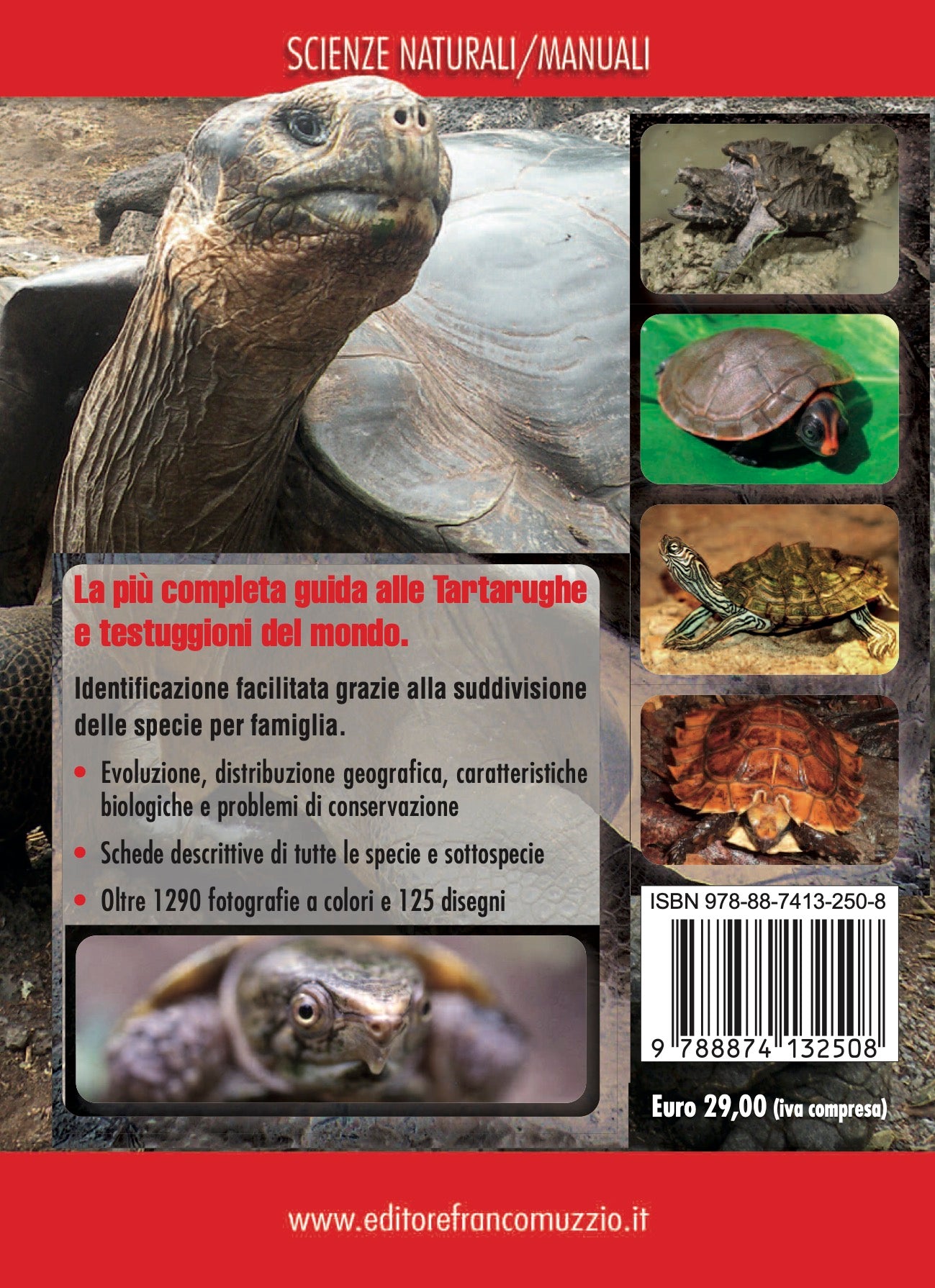 Ricca Editore Rettili Guida tartarughe e testuggini mondo libro