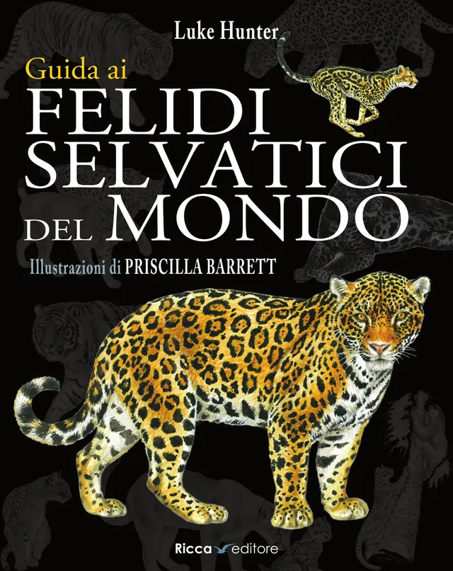 Ricca Editore Mammiferi Guida felidi selvatici libro 200 foto