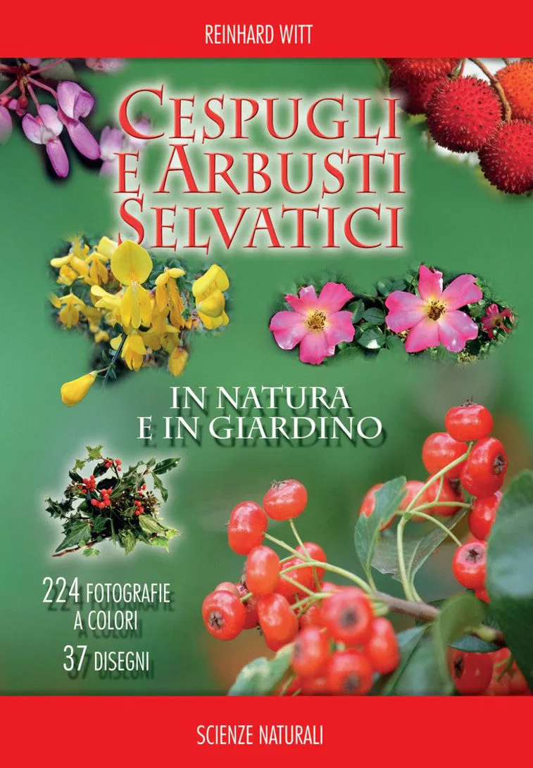 Ricca Editore Cespugli e arbusti selvatici guida botanica piante