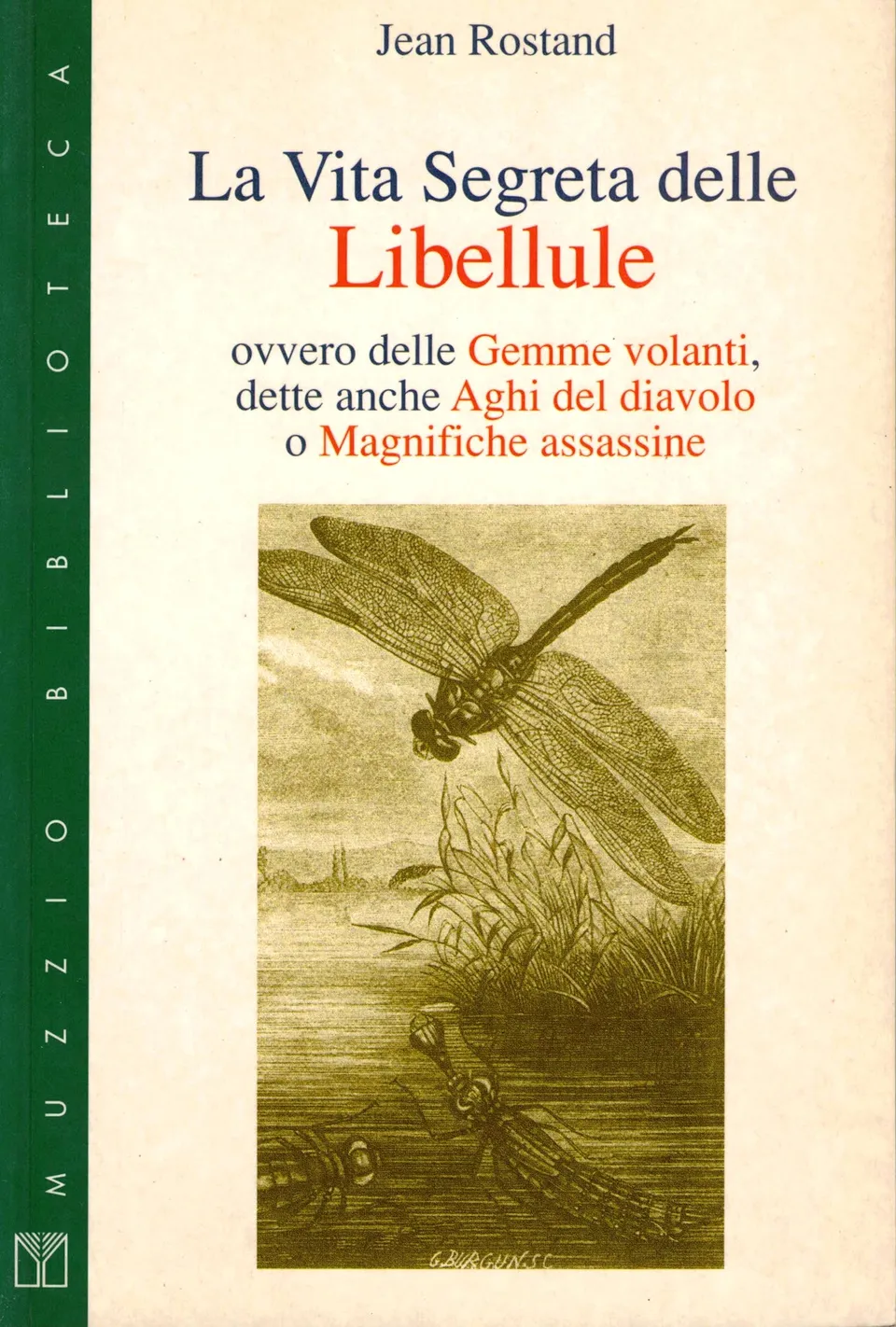 Ricca Editore Insetti La vita segreta delle libellule libro