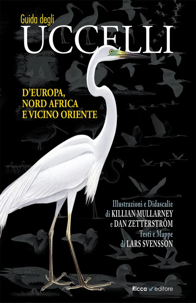 Ricca Birdwatching Guida uccelli Europa grande formato 22x31 cm