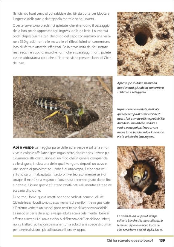 Ricca Editore Scienze Naturali Tracce e segni degli animali libro foto