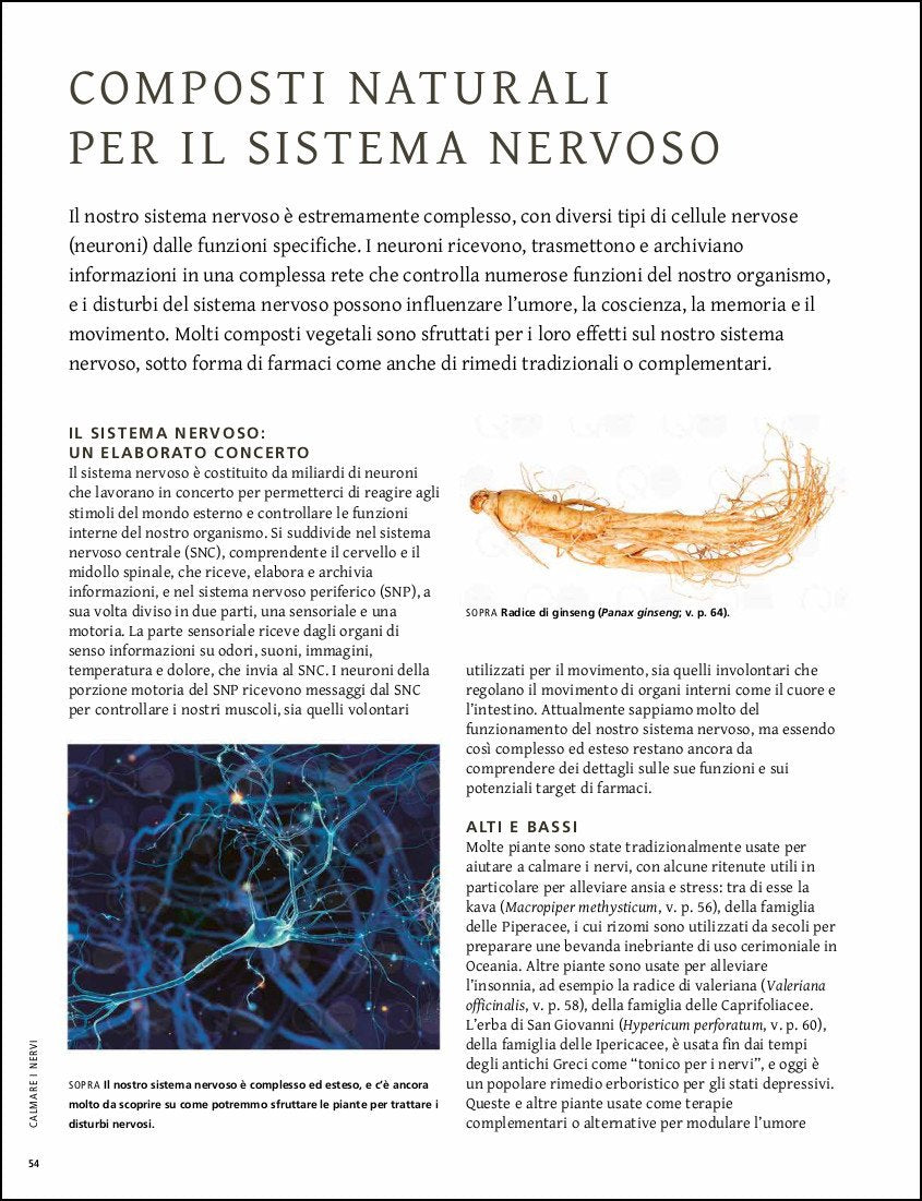 Ricca Editore Piante che curano libro piante medicinali