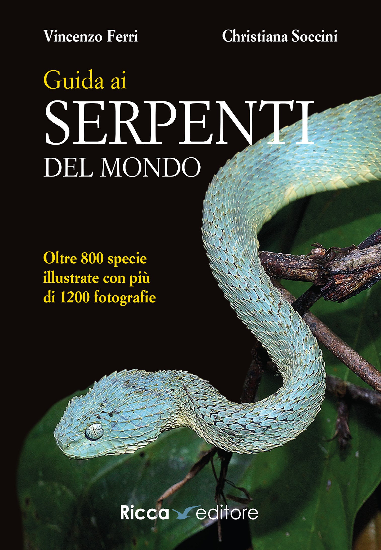 Ricca Editore Guida ai serpenti del mondo libro 800 specie foto