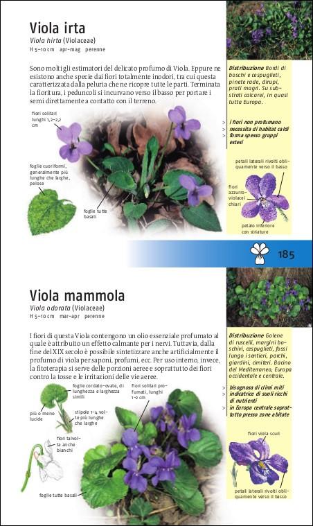 Ricca Editore Riconoscere i fiori spontanei libro tascabile 450 specie