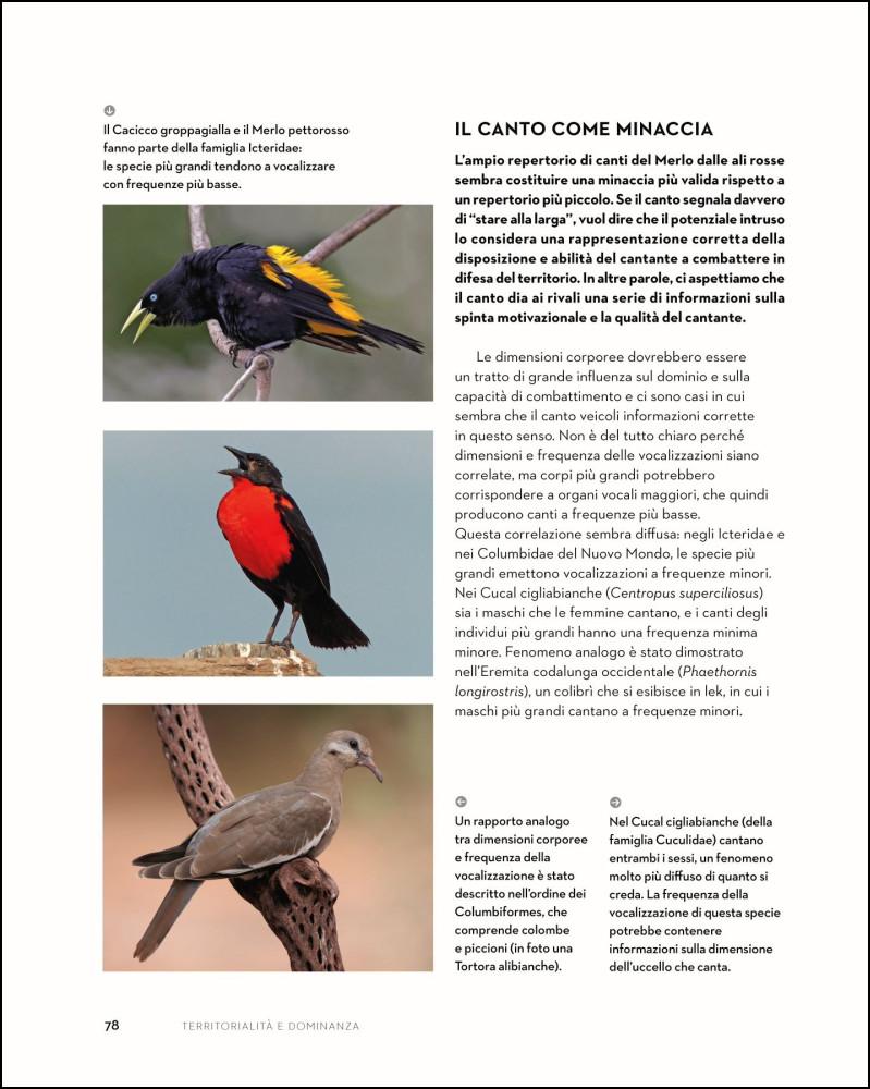 Ricca Etologia Il linguaggio degli uccelli libro canti