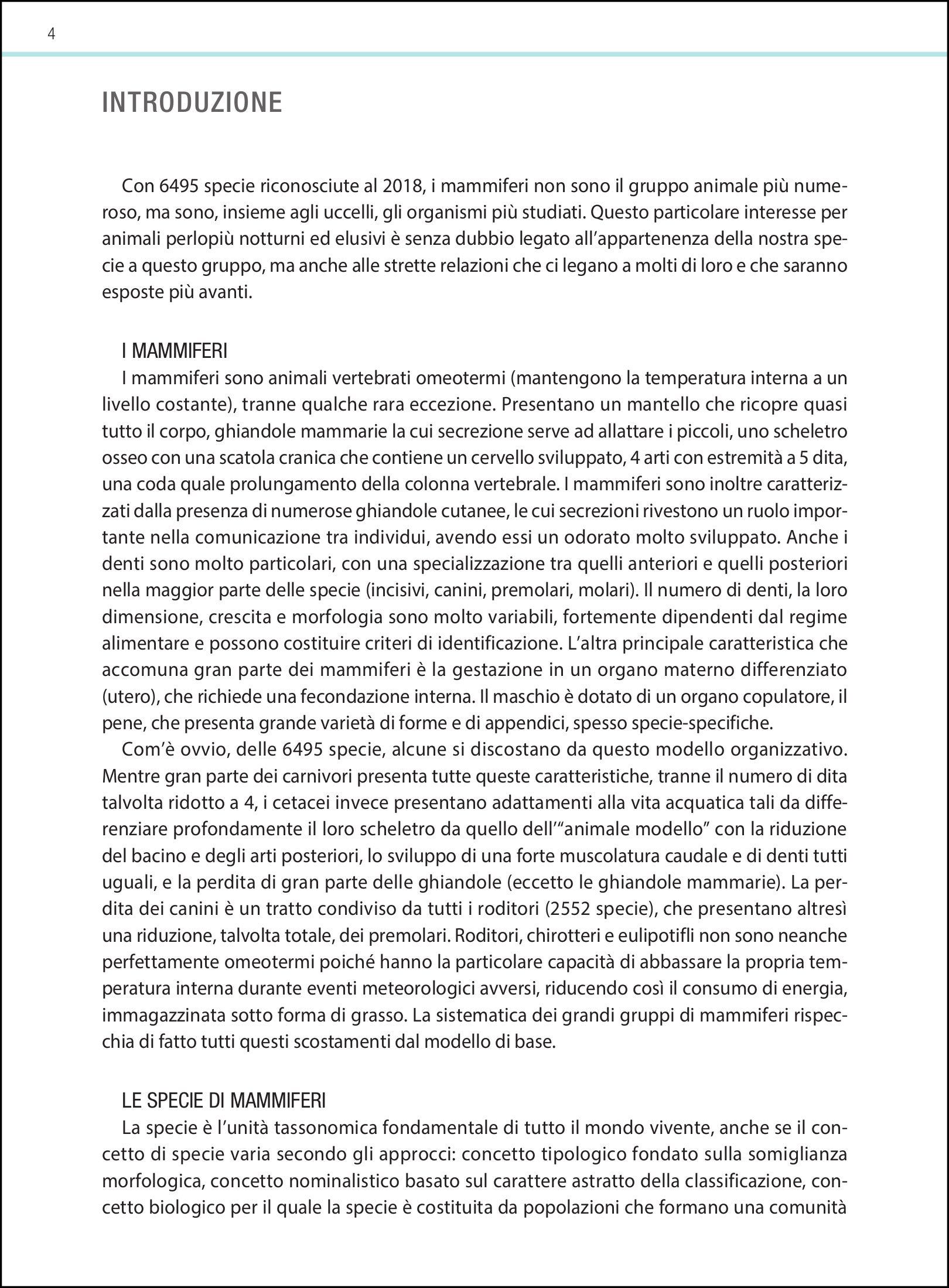 Ricca Editore Mammiferi d'Europa guida 500 specie disegni
