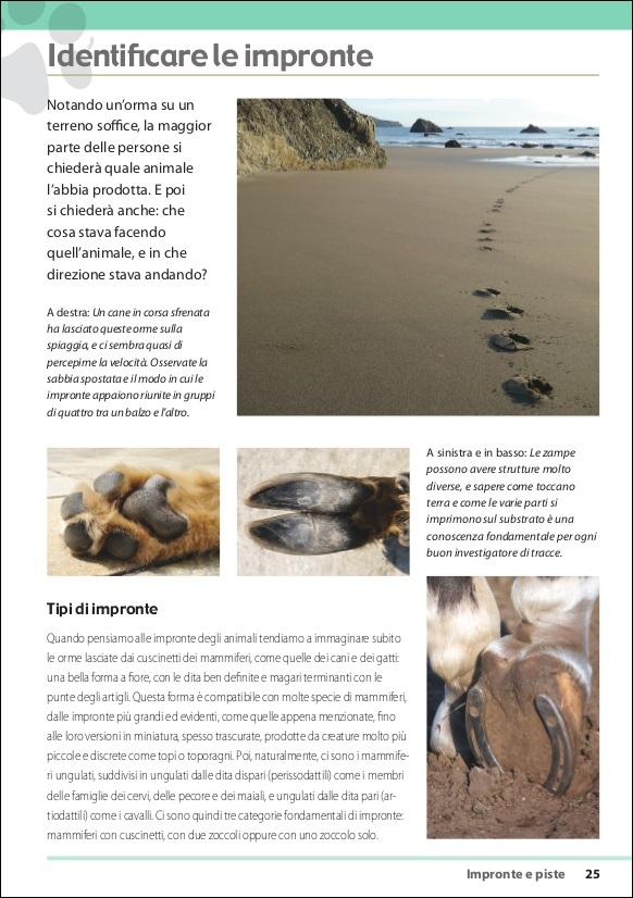 Ricca Editore Scienze Naturali Tracce e segni degli animali libro foto