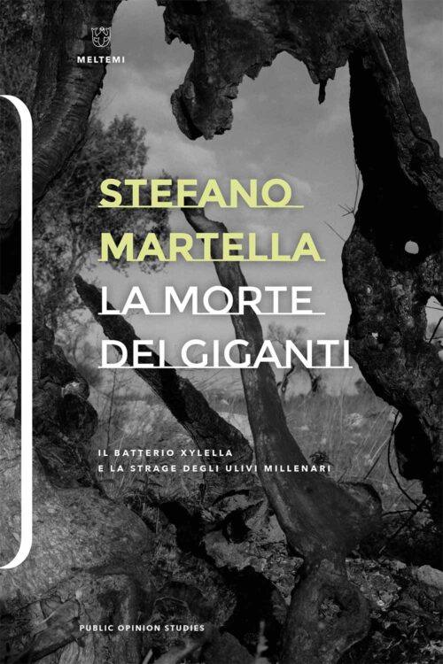 Meltemi Public Opinion La morte dei Giganti libro sociologia