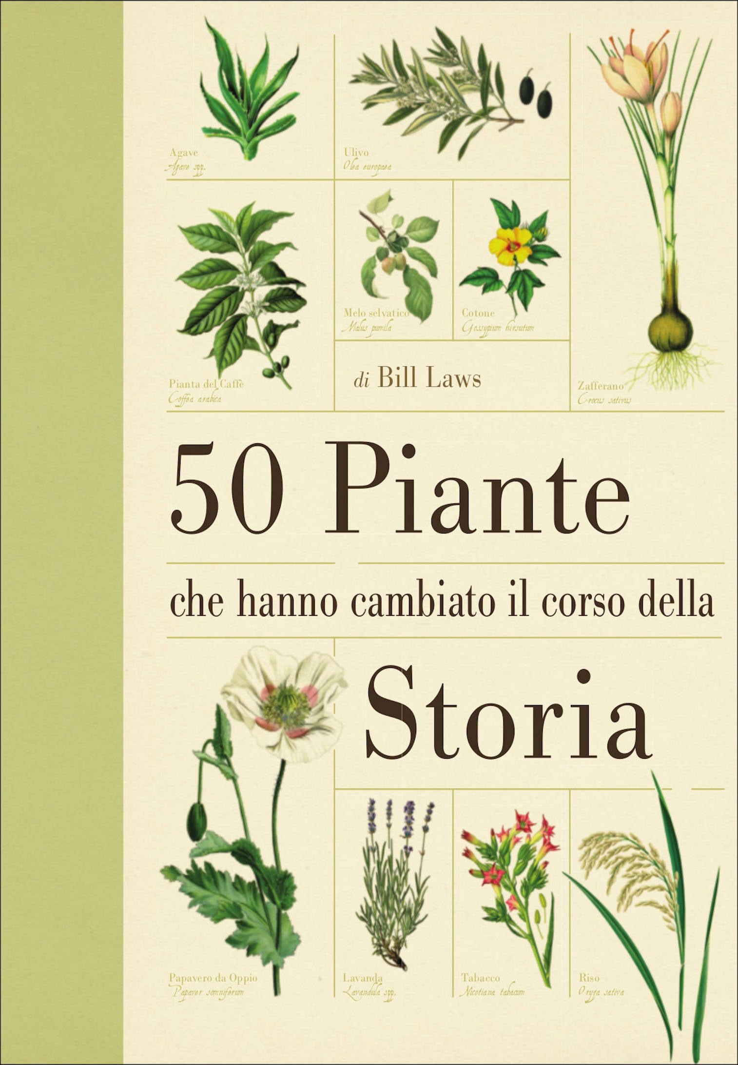 Ricca Storia e Natura 50 piante che hanno cambiato storia libro