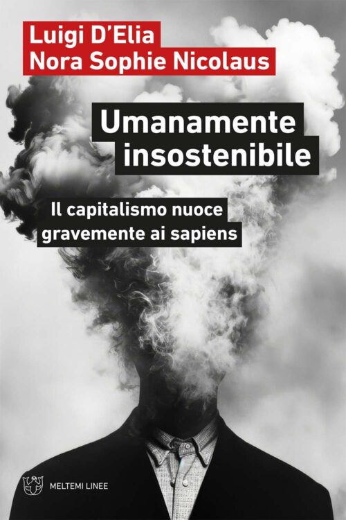 Meltemi Linee Umanamente insostenibile libro saggio politico