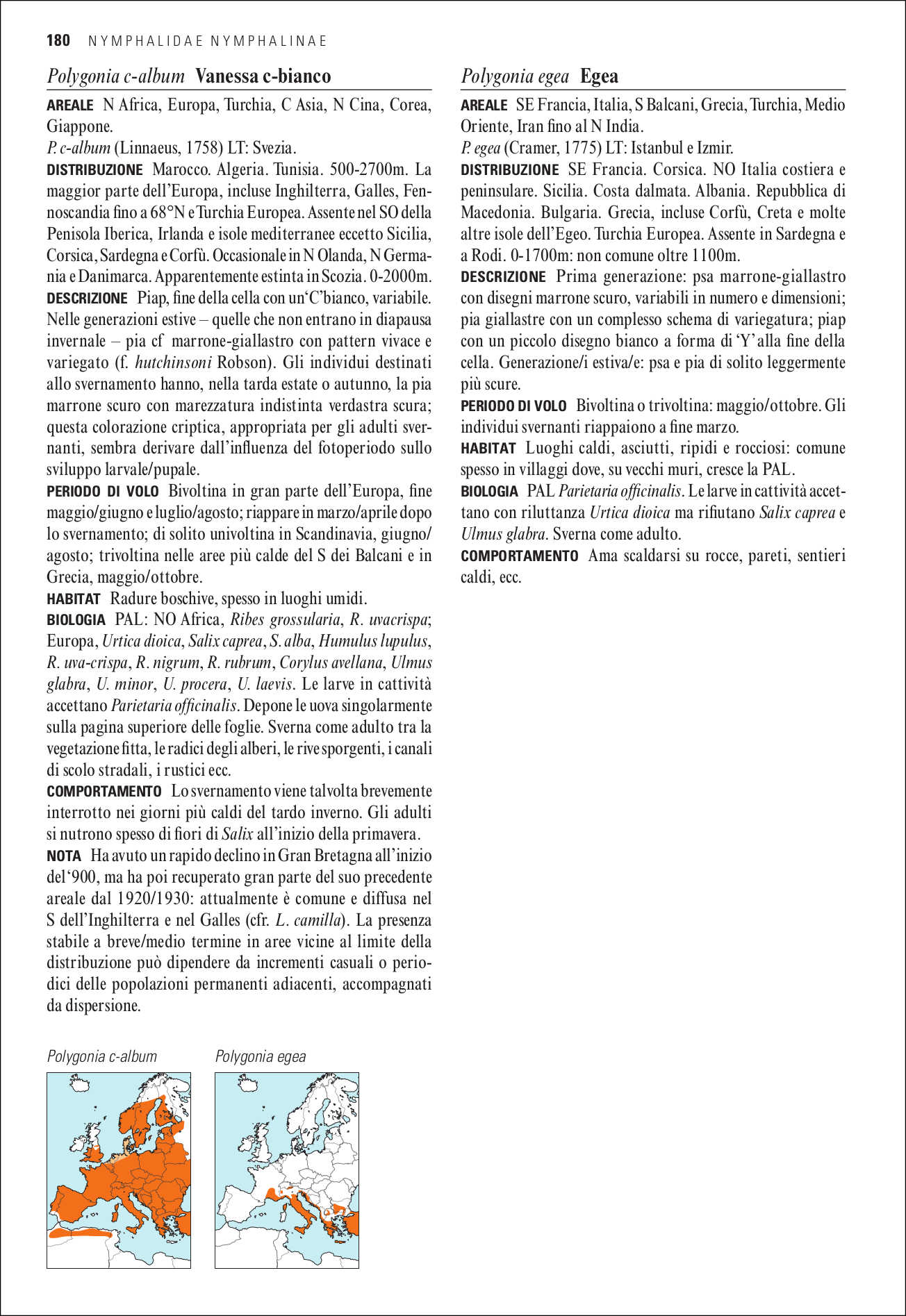 Ricca Editore Insetti Guida alle farfalle d'Europa libro 500 specie