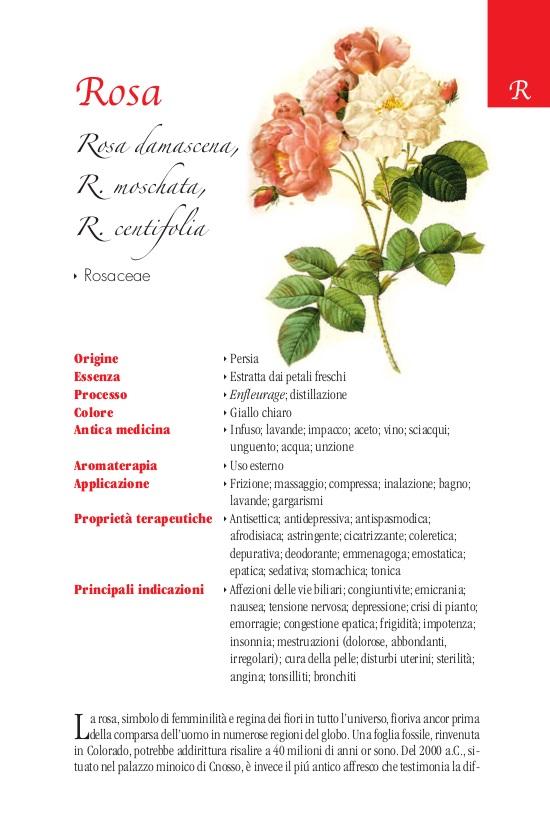 Ricca Editore Botanica Viaggio nel mondo delle essenze libro piante aromatiche