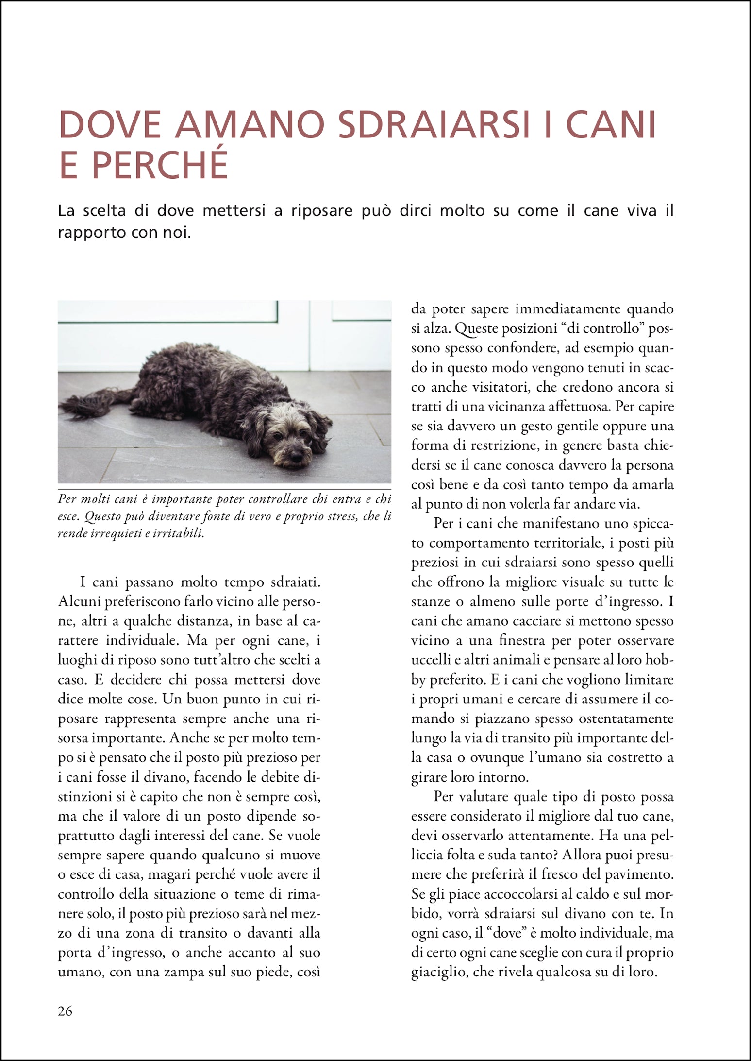 Ricca Imparare a leggere i cani Guida comportamento cani