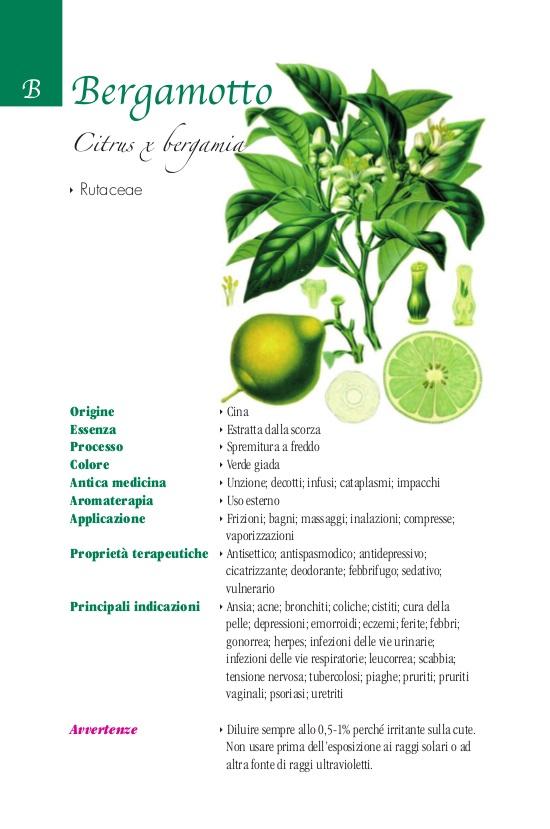Ricca Editore Botanica Viaggio nel mondo delle essenze libro piante aromatiche