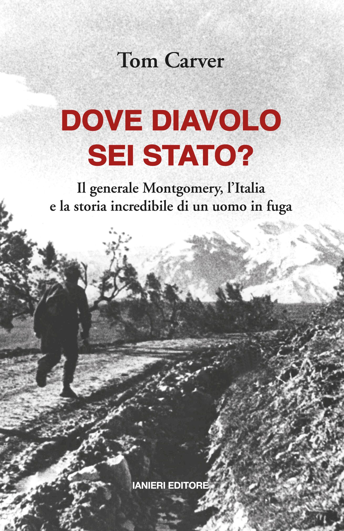 Ianieri Forsythia Dove diavolo sei stato? libro Carver