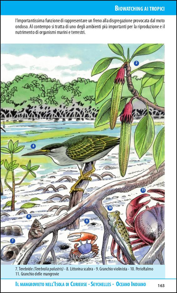 Ricca Editore Biowatching guida osservazione tascabile
