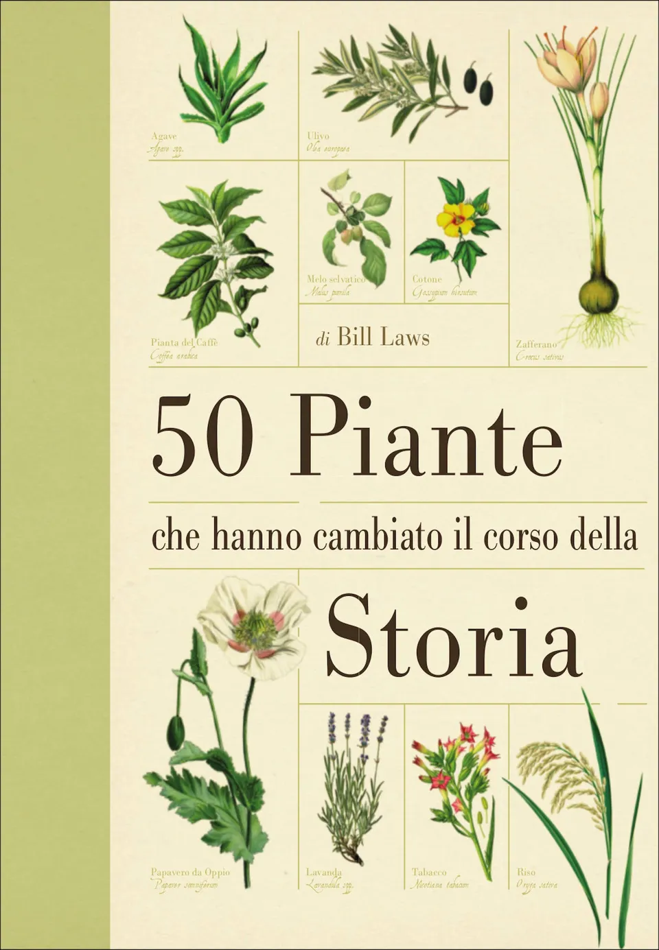 Ricca Storia e Natura 50 piante che hanno cambiato storia libro