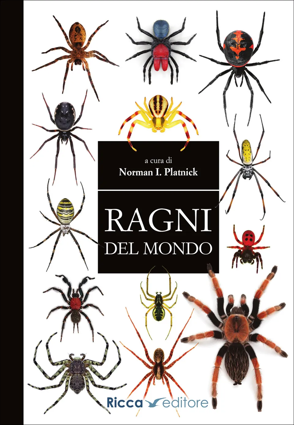 Ricca Insetti e Ragni Ragni del mondo libro 100 famiglie
