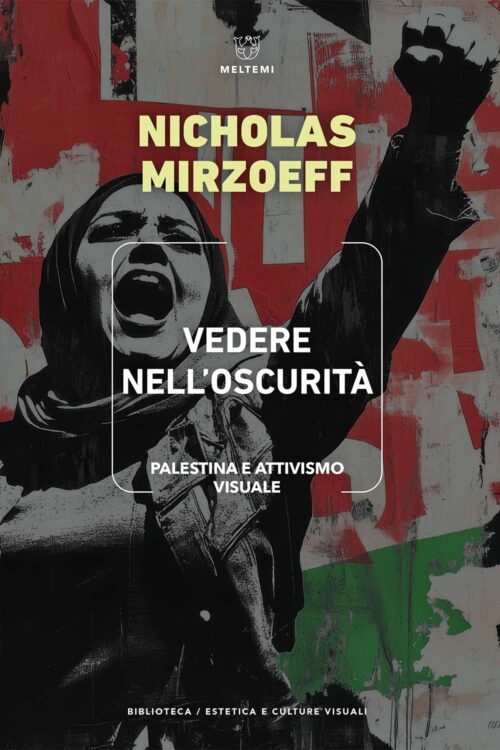 Meltemi Vedere nell’oscurità libro estetica visuale