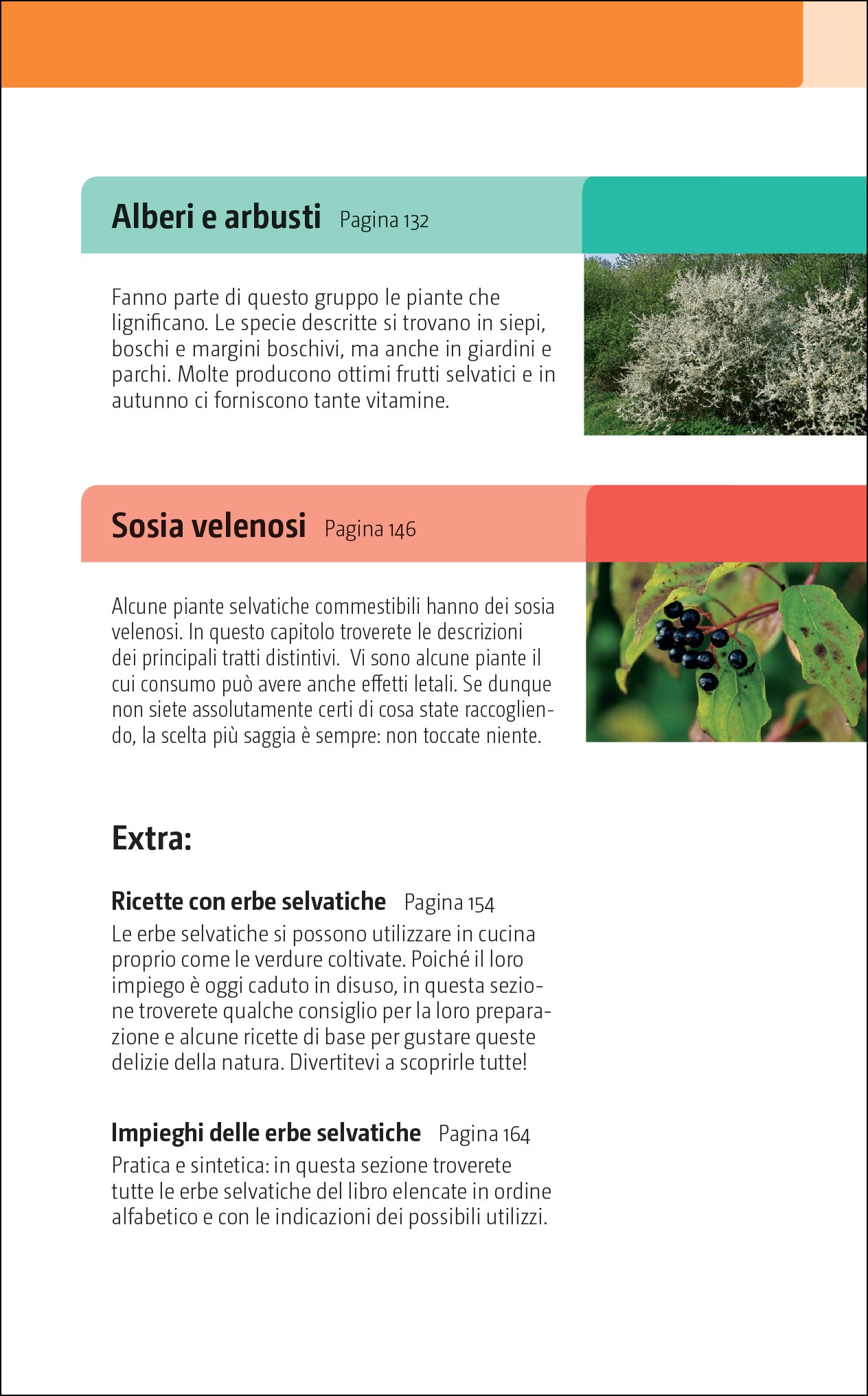 Ricca Editore Erbe e frutti selvatici commestibili guida tascabile