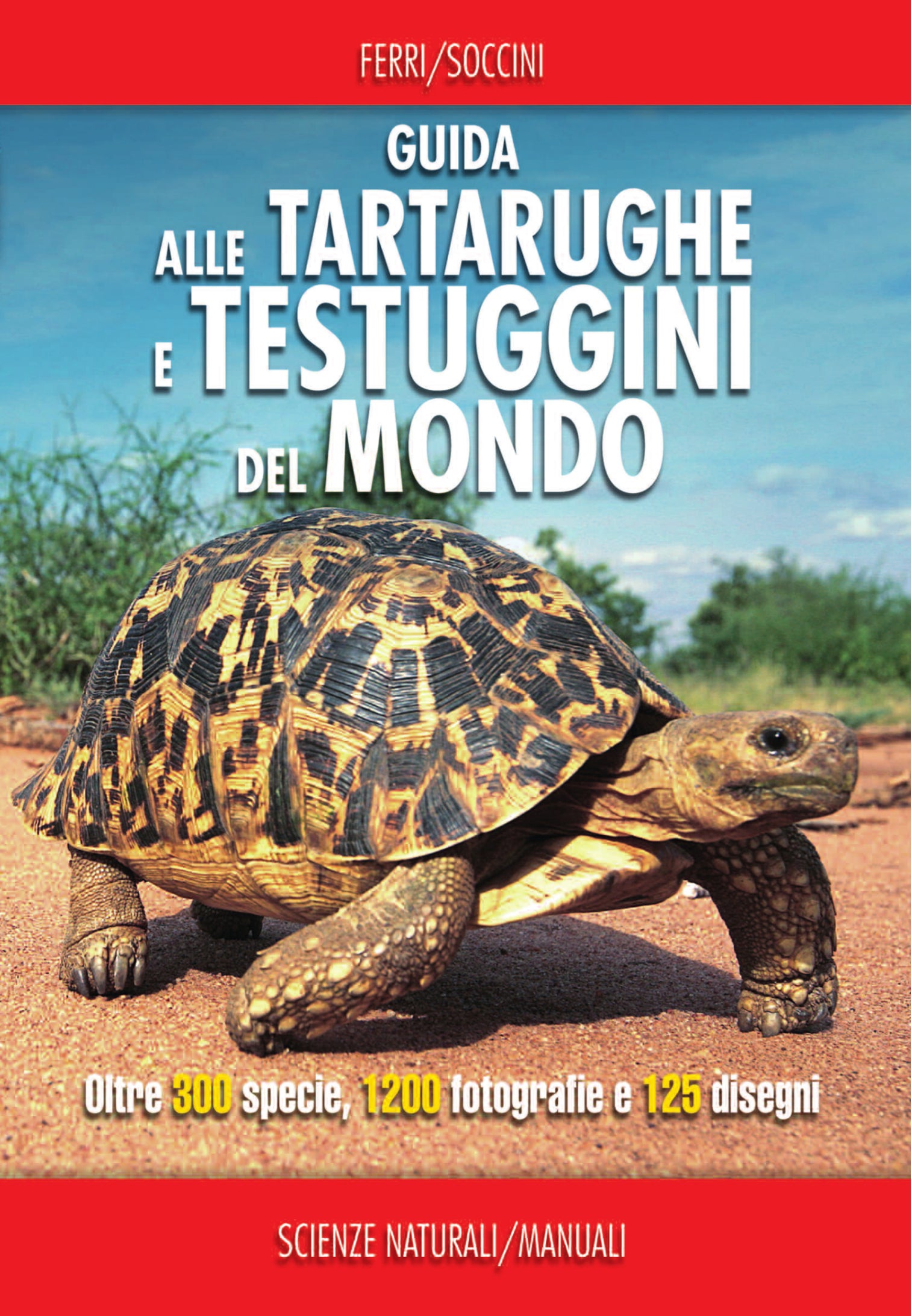 Ricca Editore Rettili Guida tartarughe e testuggini mondo libro