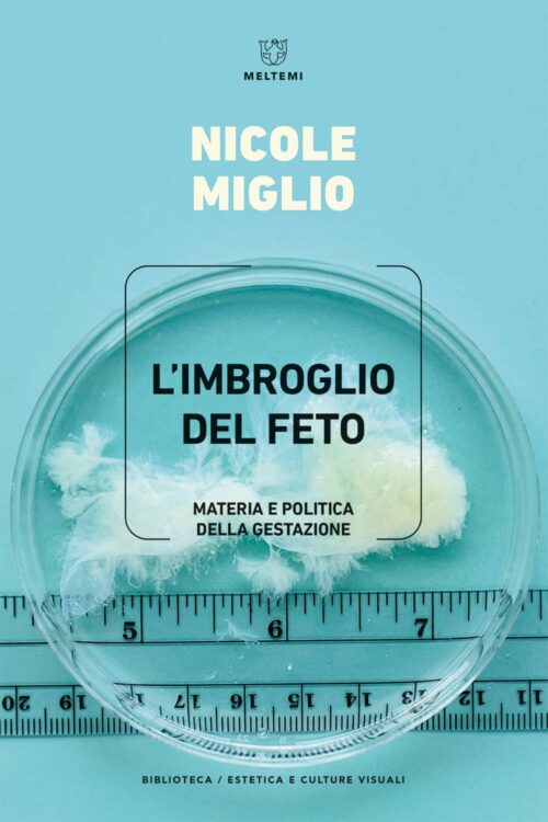 Meltemi Biblioteca L'imbroglio del feto libro estetica visuale